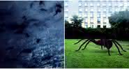 "Arachnado", filme sobre tornado de aranhas, ganha primeiro trailer - Reprodução/YouTube