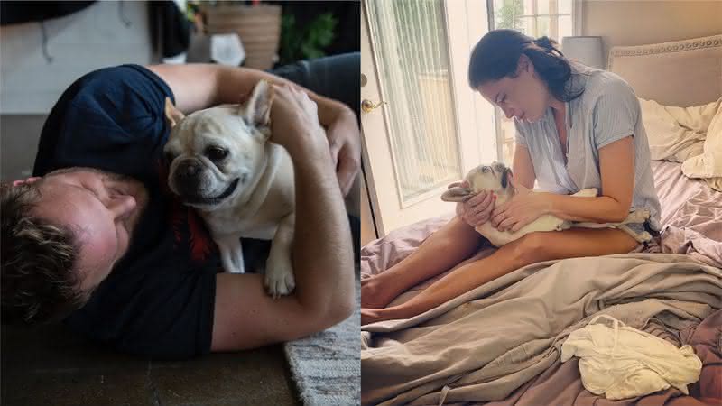 O cachorro Bruley participou de alguns episódios de Queer Eye - Reprodução/Instagram
