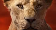 Sarabi, mãe de Simba em 'Rei Leão, deveria ser a protagonista do filme, segundo pesquisadores - Reprodução/Disney