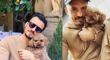 Orlando Bloom e seu cachorro, Mighty - Reprodução/Instagram