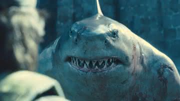 Sylvester Stallone diz que os fãs irão ver mais Tubarão-Rei no DCU - Reprodução: Warner Bros. Pictures