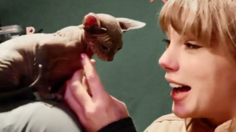 Taylor Swift se diverte ao lado de um gatinho nos bastidores de Cats - YouTube