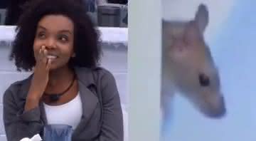 Thelma assustada com a possibilidade de ter um rato na cozinha do Big Brother Brasil 20 - Reprodução/Globoplay