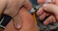 Cientistas australianos desenvolveram uma vacina efetiva contra o câncer e agora devem começar testes em humanos - LuAnn Hunt/Pixabay